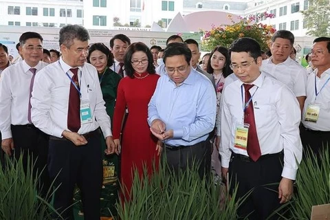 Premier vietnamita pide aplicar ciencia tecnológica e innovación en desarrollo agrícola 