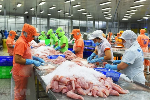 México figura entre los tres mayores mercados receptores de pescado vietnamita Tra