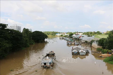 Aceleran protección ciudadana para vietnamitas víctimas de trabajo forzado en Camboya