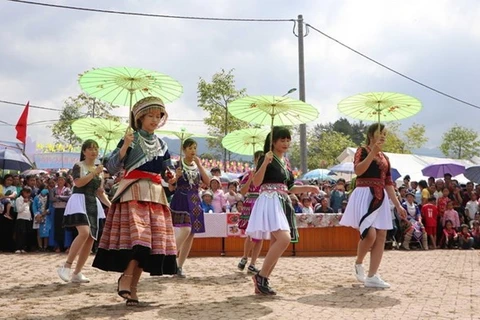 Celebrarán actividades en la Aldea de Cultura y Turismo de Etnias Minoritarias de Vietnam por Día Nacional 