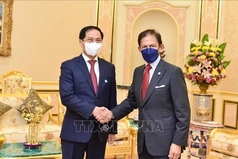 Vietnam constituye un amigo y socio importante de Brunei, afirma el sultán