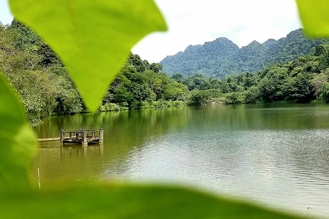 Cuc Phuong honrado por cuarta vez como el parque nacional líder de Asia