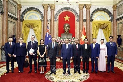 Presidente vietnamita recibe a embajadores de Países Bajos, Hungría, Australia y Luxemburgo