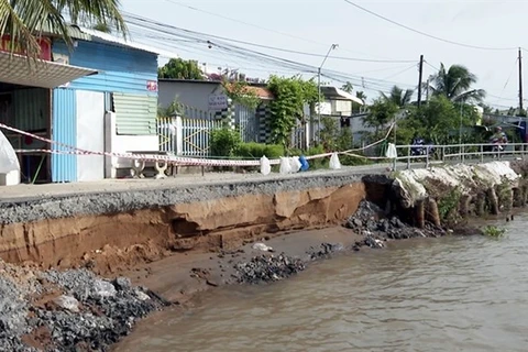 Provincia vietnamita toma medidas para hacer frente a desastres naturales