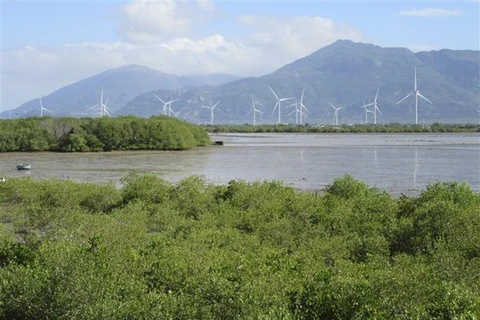 Can Tho se une a la campaña global de WWF para el crecimiento verde