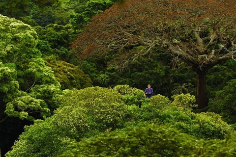 Celebrarán primer festival de cine sobre naturaleza en Vietnam