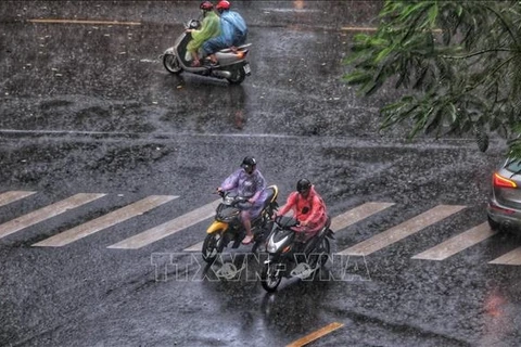 Pronostican lluvias intensas en varias zonas de Vietnam 