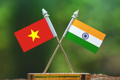Celebran en Can Tho 55 aniversario de relaciones diplomáticas entre Vietnam y la India 