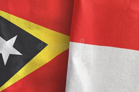 Indonesia y Timor Leste por establecer una zona de cooperación económica 
