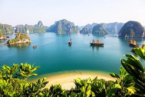 Vietnam figura entre destinos más buscados por turistas australianos