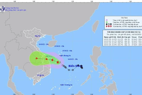 Vietnam sufre affectations del tifón SONCA