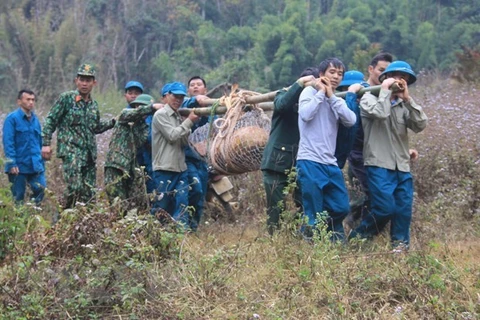 Desactivan con éxito bomba hallada en provincia vietnamita