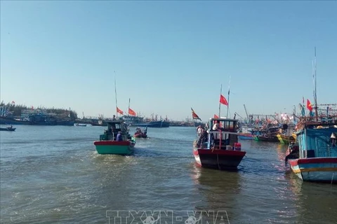 Provincia vietnamita de Ba Ria-Vung Tau refuerza lucha contra pesca ilegal