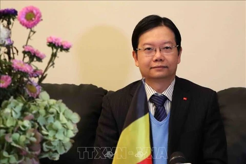 Oficina Comercial de Vietnam en Bélgica ayuda a promover nexos económicos bilaterales