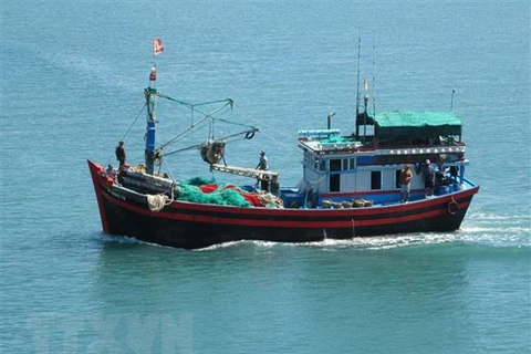 Localidades costeras de Vietnam ven mejores resultados en lucha contra pesca ilegal