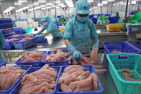 Vietnam alcanzará 55 mil millones de dólares por exportación agroforestal y acuática