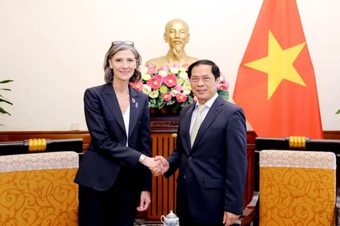 Canciller vietnamita se reúne con representante del PNUD en Vietnam