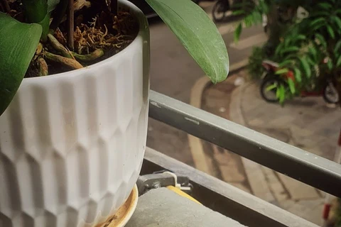 Paisajes de Hanoi en tazas de café con huevo