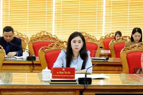 Provincia vietnamita busca cooperación con prefectura japonesa