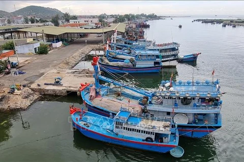 Vietnam por proteger recursos y estabilizar medios de vida de pescadores