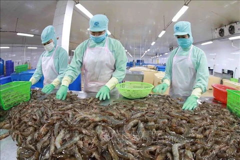 Exportación acuícola de Vietnam aumenta 34 por ciento en 10 meses