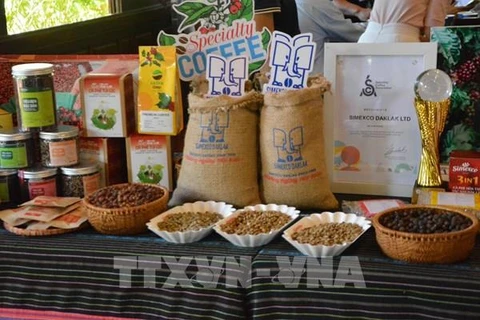 Exportaciones de café vietnamita por conquistar nuevo récord