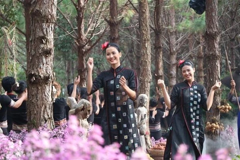 Efectúan en provincia vietnamita desfile de traje de brocado