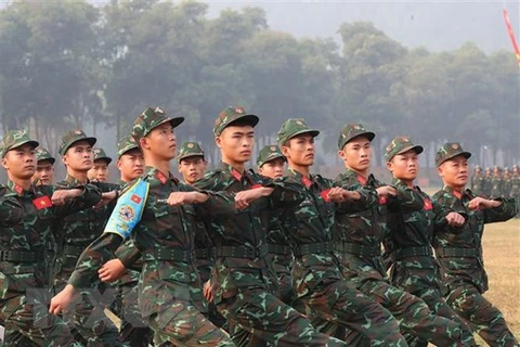 Vietnam se sitúa en primer lugar en XXX Torneo de Tiro Militar de ASEAN