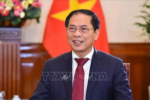 Canciller vietnamita sostiene reuniones bilaterales al margen de 29 Reunión de Líderes Económicos de APEC