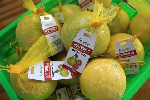 Provincia vietnamita envía primer lote de pomelo rojo a Reino Unido
