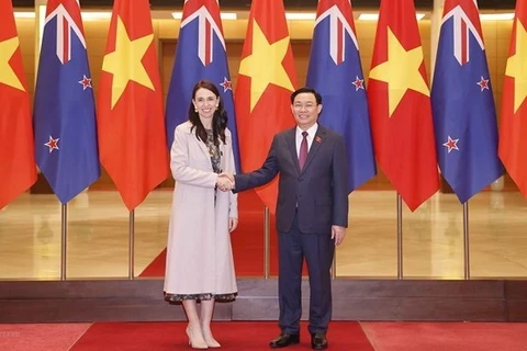 Promueven asociación estratégica Vietnam-Nueva Zelanda