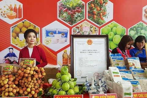 Bac Giang construye marcas de productos agrícolas para expandir mercado