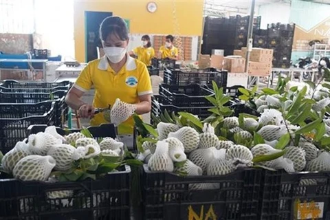 Asociación empresarial ayuda a conectar empresas vietnamitas y malasias