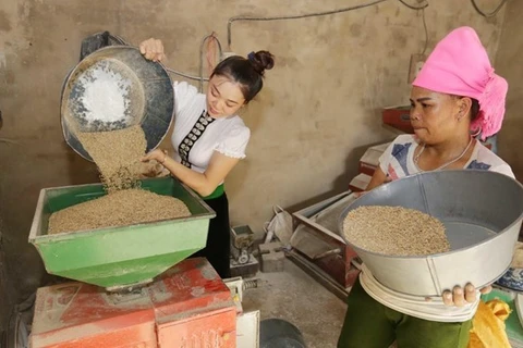 Promueven derechos humanos en ámbito laboral, social y de igualdad de género en Vietnam