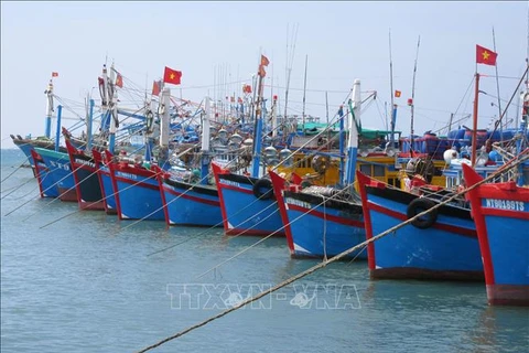 Provincia vietnamita proyecta desarrollo sostenible de sector pesquero