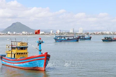 Provincia de Khanh Hoa avanza en la lucha contra pesca ilegal