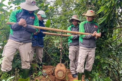 Desactivan con éxito bomba remanente de guerra en provincia vietnamita