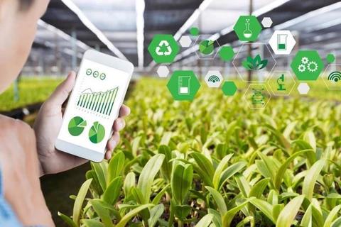 Transformación digital ayuda a desarrollar agricultura sostenible en Vietnam