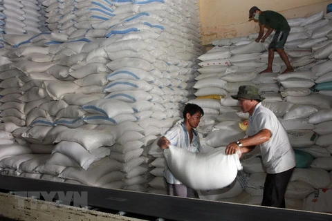 Suministran arroz para localidades vietnamitas en Año Nuevo Lunar