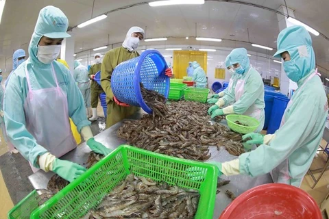 Exportadores vietnamitas de camarón reportan ganancias en 2022 gracias a TLC