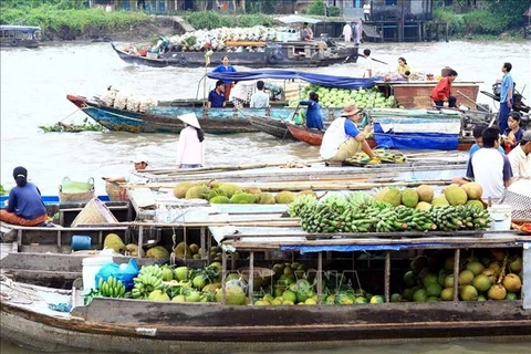 Mercado flotante, destino interesante para experimentar la vida en delta de Mekong