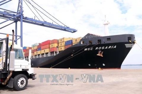 Puertos marítimos de Vietnam reciben grandes buques en el Tet