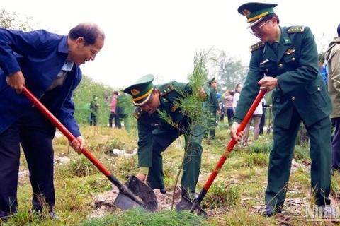 Lanzan en zona fronteriza vietnamita movimiento de siembra de árboles