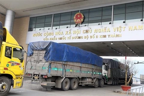 Exportadoras vietnamitas de materiales medicinales a China necesitan registro