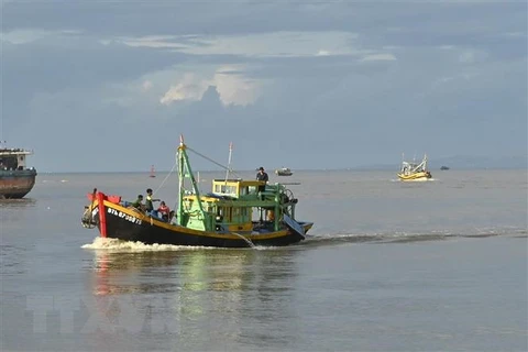 Provincia vietnamita de Binh Thuan refuerza lucha contra pesca ilegal 