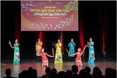 Vietnamitas en Hungría celebran programa artístico 