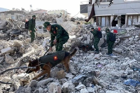 Socorristas vietnamitas agilizan búsqueda de víctimas del terremoto en Turquía