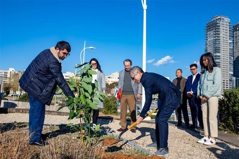 Efectúan plantación de árboles para honrar relaciones diplomáticas Vietnam- Israel 