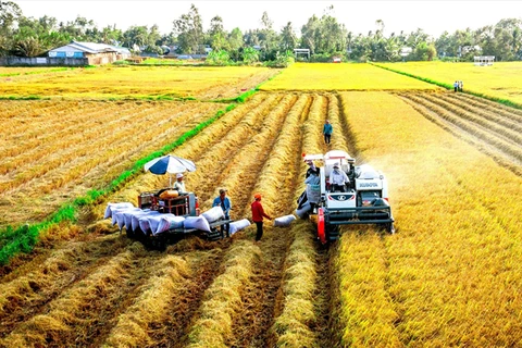 Agricultura de Vietnam por atraer IED multimillonaria para 2030