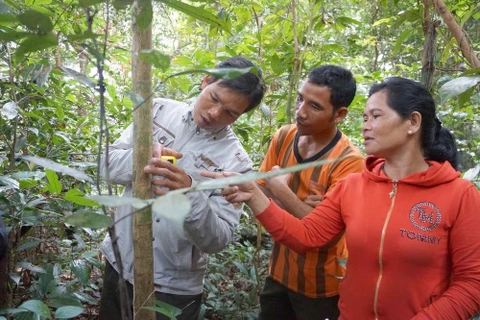 Necesita Indonesia gran fondo para reducción de emisiones forestales